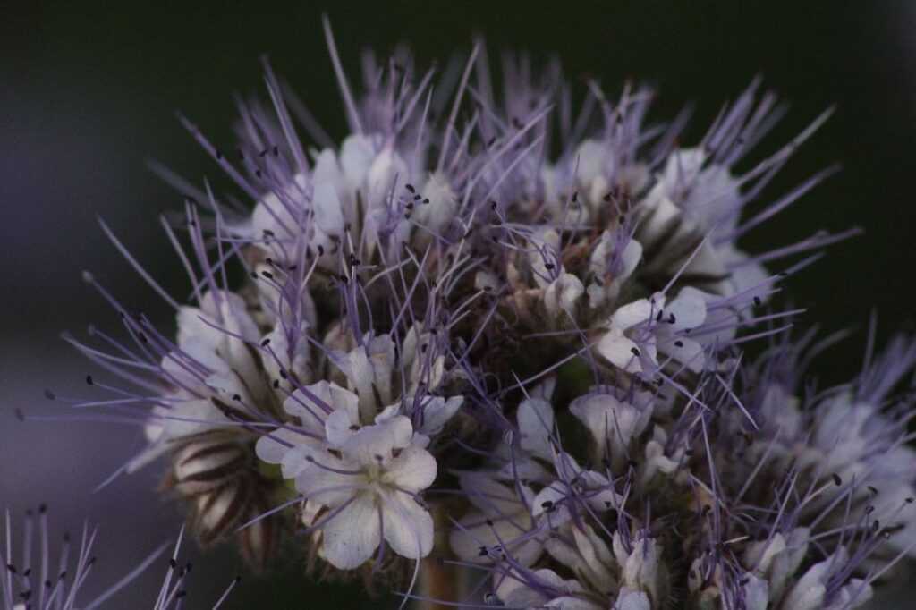 180180-88d207e4ba