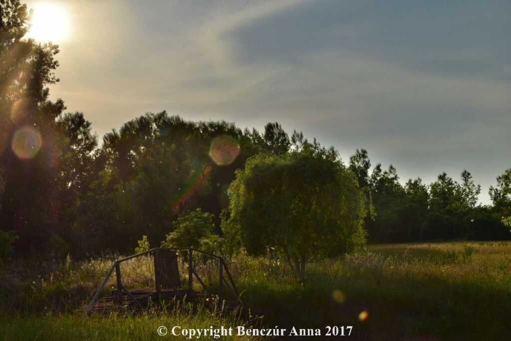 180562-007107b03f