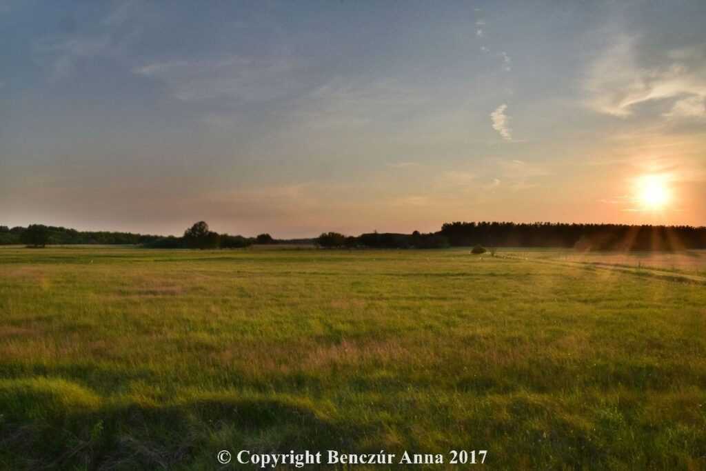 180574-b3b4fcb7c7-1