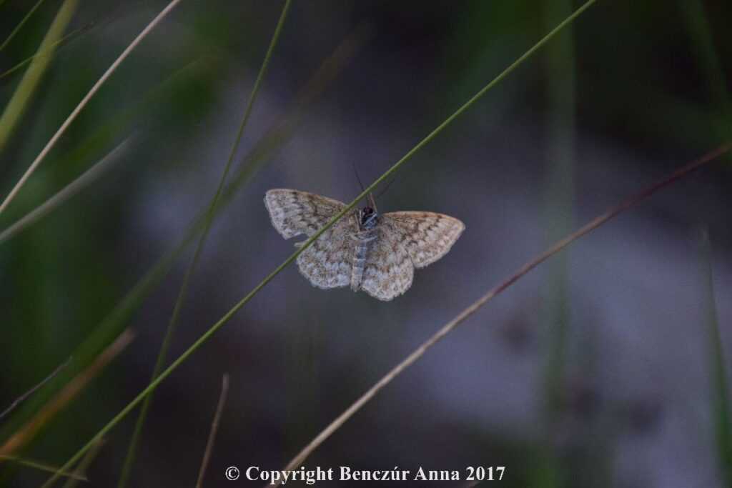 180580-e5815143c8