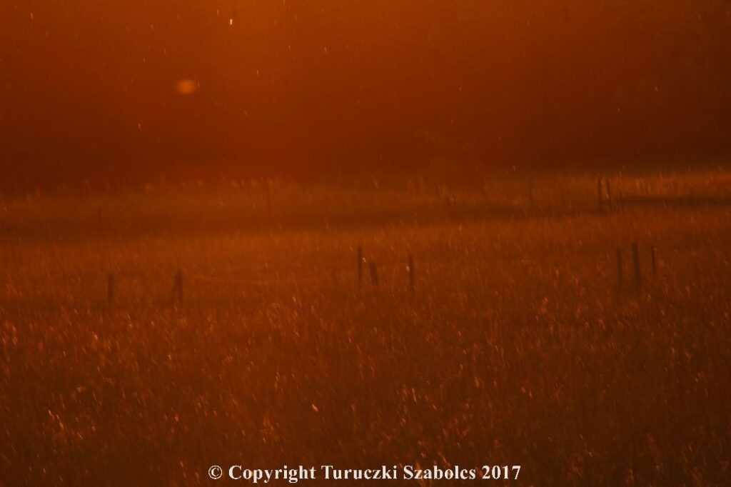 180610-e067960f96