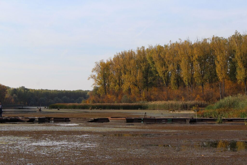 2017-10-15-martelykicsikkel010