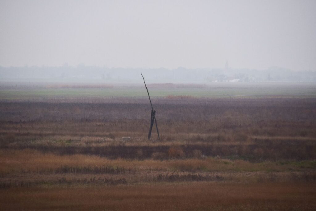 2017-11-19-kardoskut043