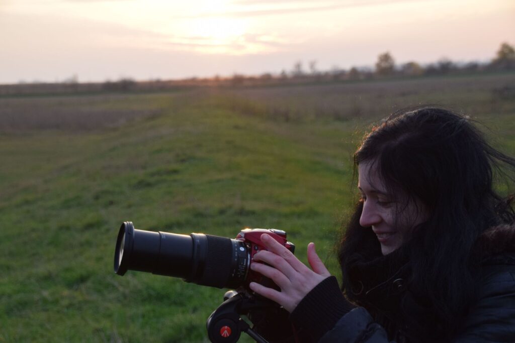 2017-11-19-kardoskut060