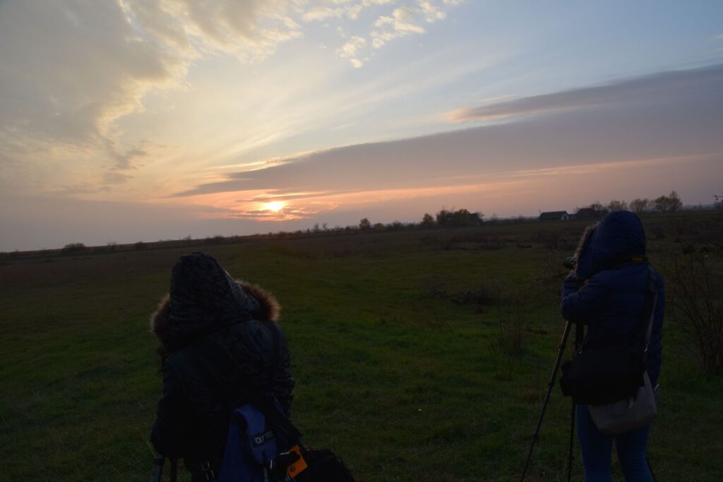 2017-11-19-kardoskut061