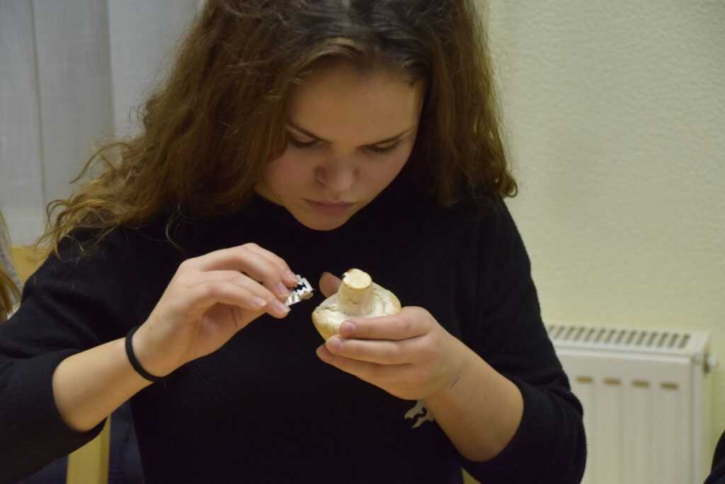 2017-12-13-termbuvar005