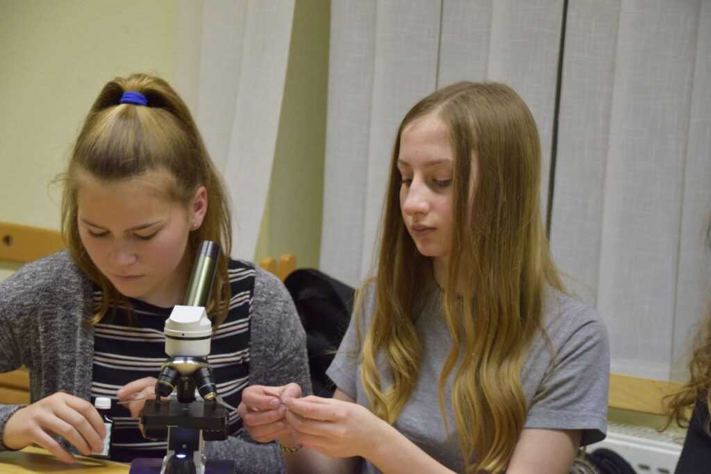2017-12-13-termbuvar008