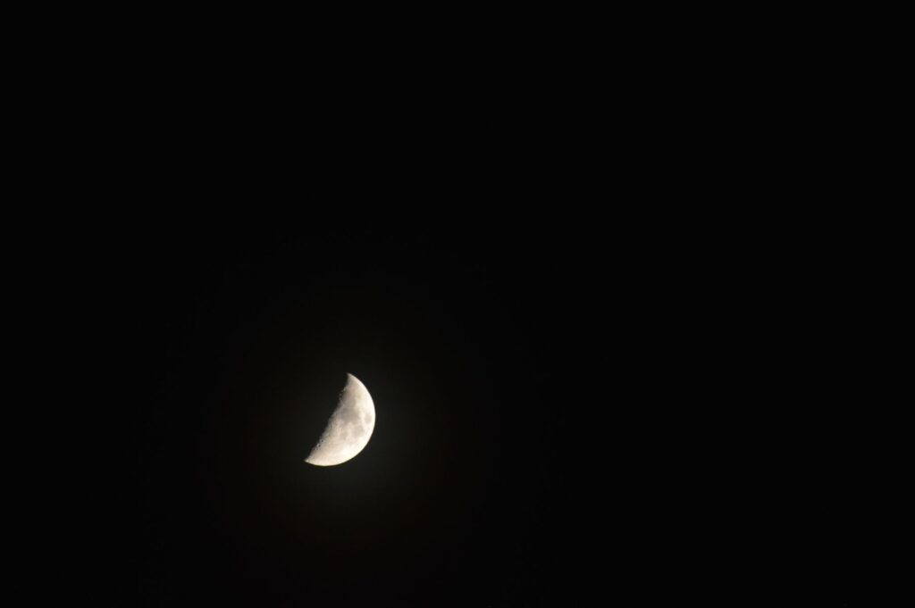 dsc-0403