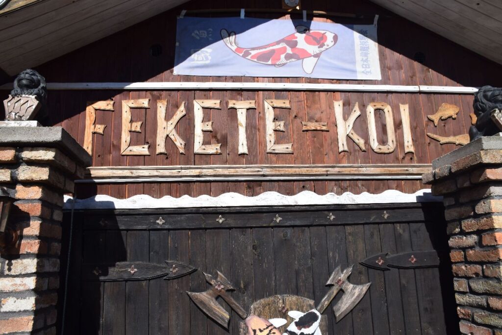 fekete-koi-2017-005-1