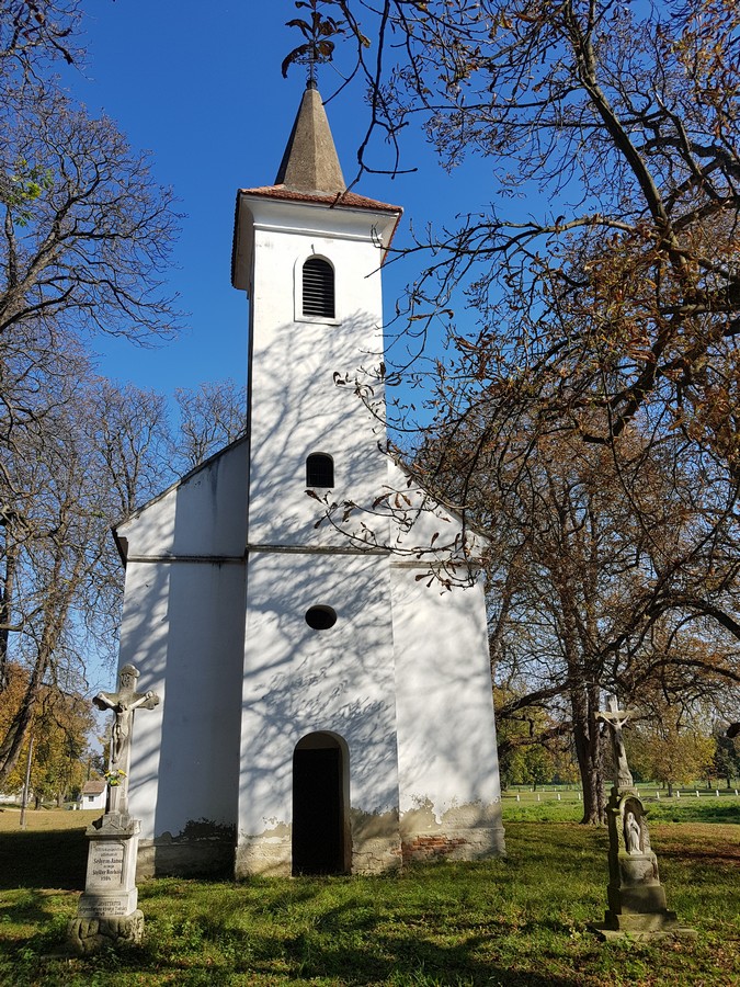 image00005-4