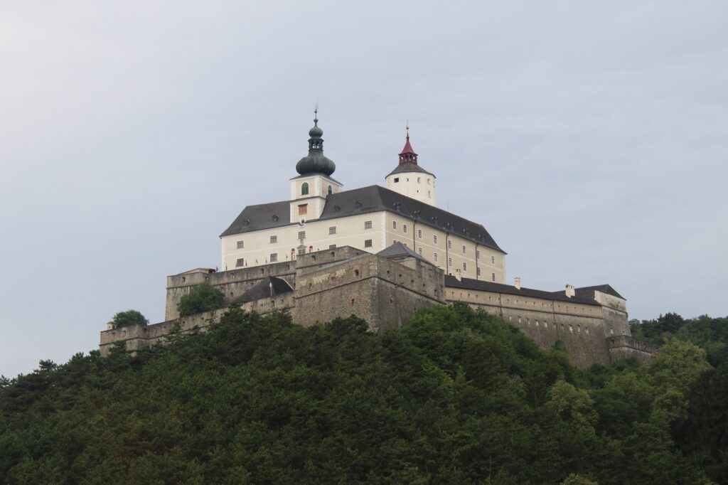 img-1401