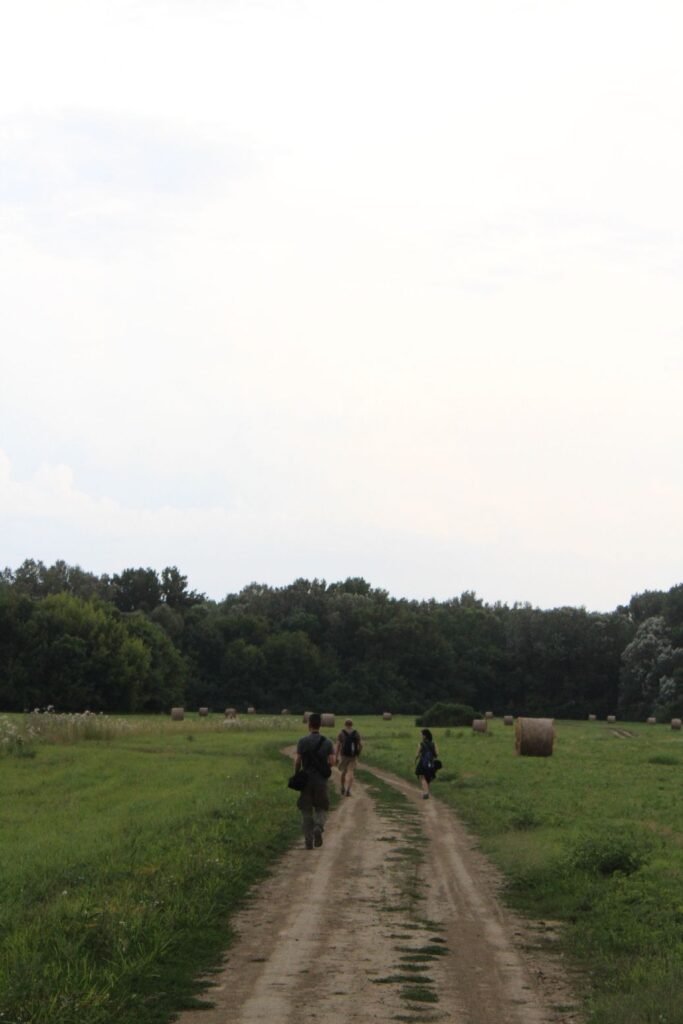 img-1891