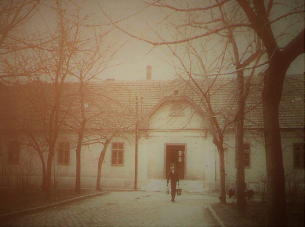 img-9972
