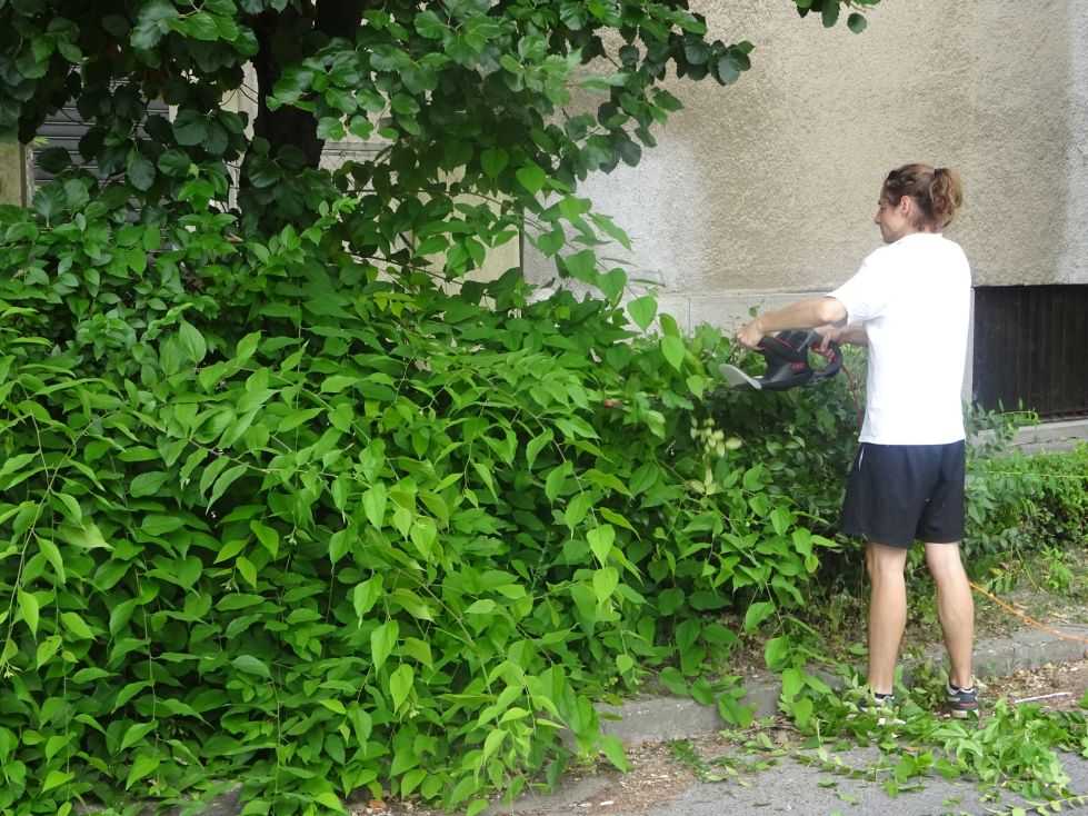 kicsinyitettkozossegi-munka005-1