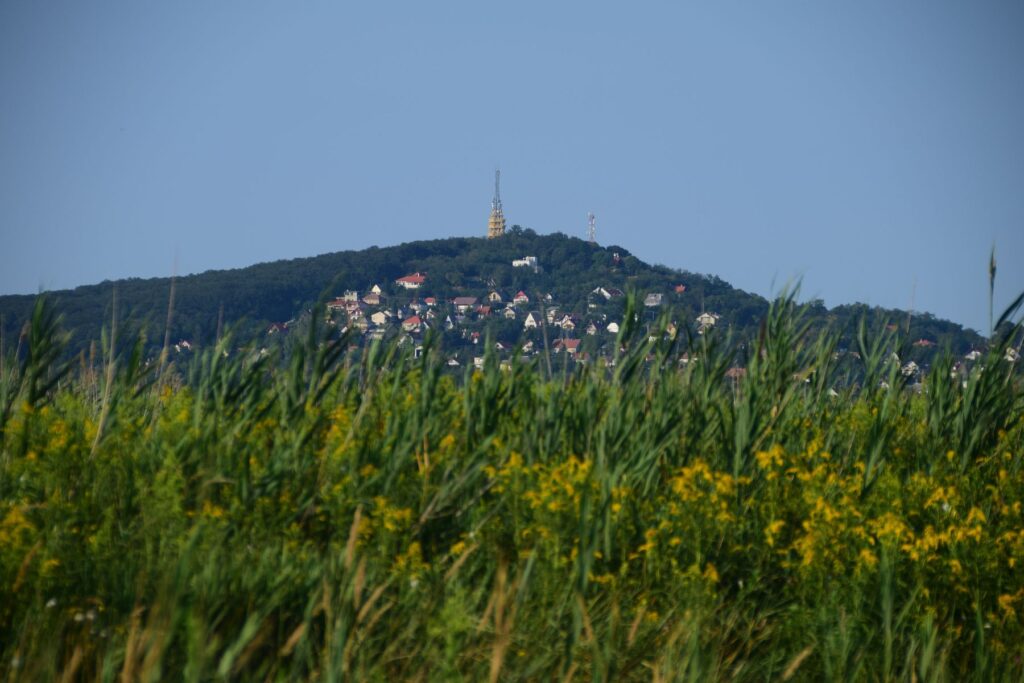 pecs-balaton-2017-x-021