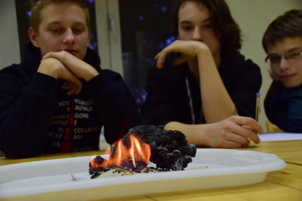 termeszetbuvarklub20180222-0014