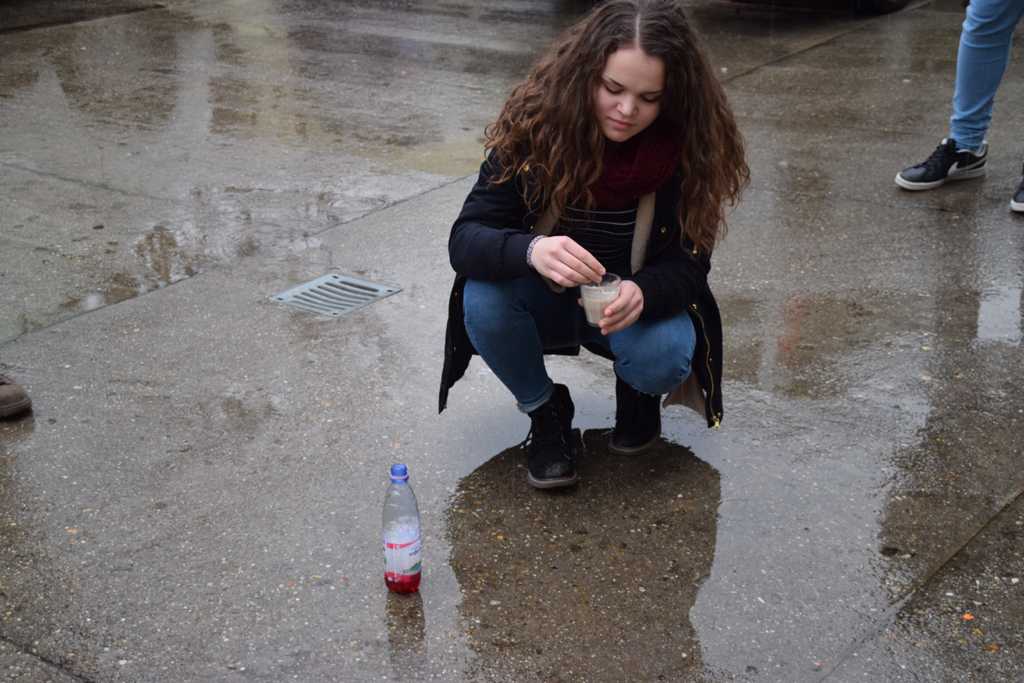 termeszetbuvarklub20180222-0015