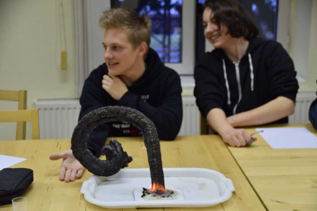 termeszetbuvarklub20180222-0017