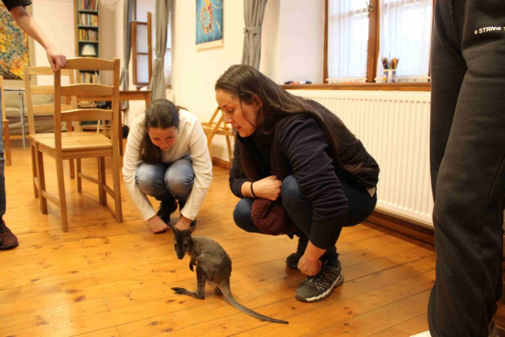 06-4-scaled-1
