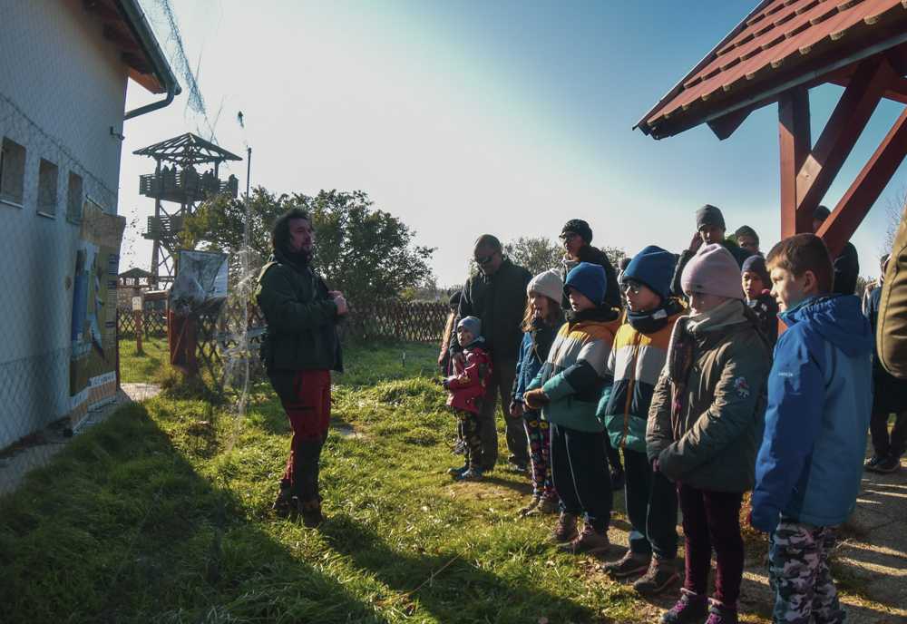 2024-darvadozas-kicsi-030