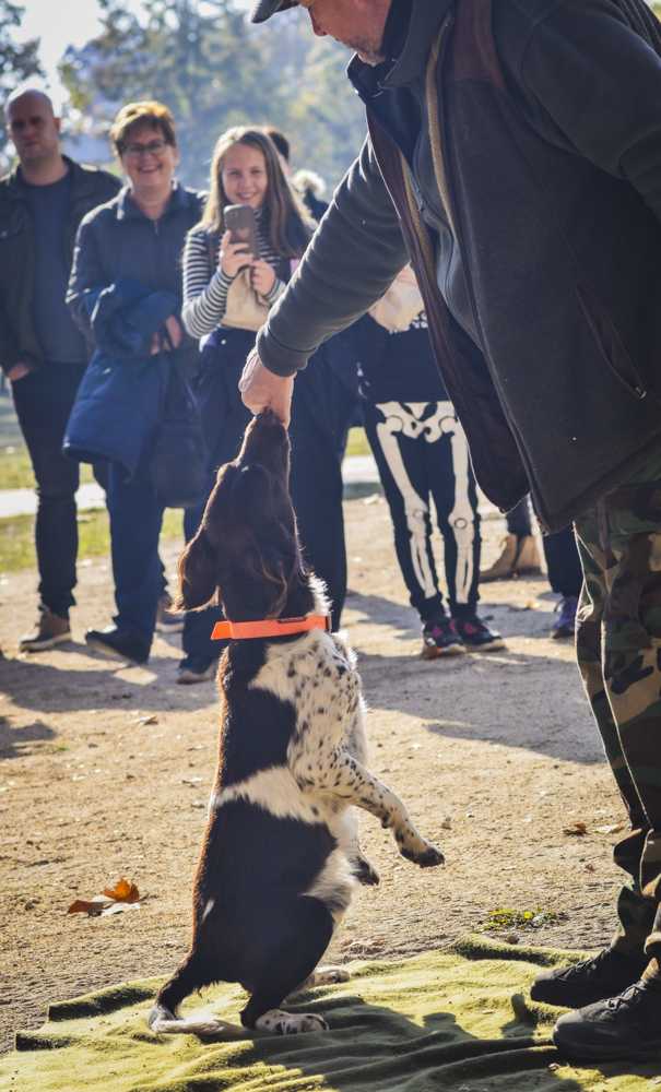 2024-darvadozas-kicsi-066