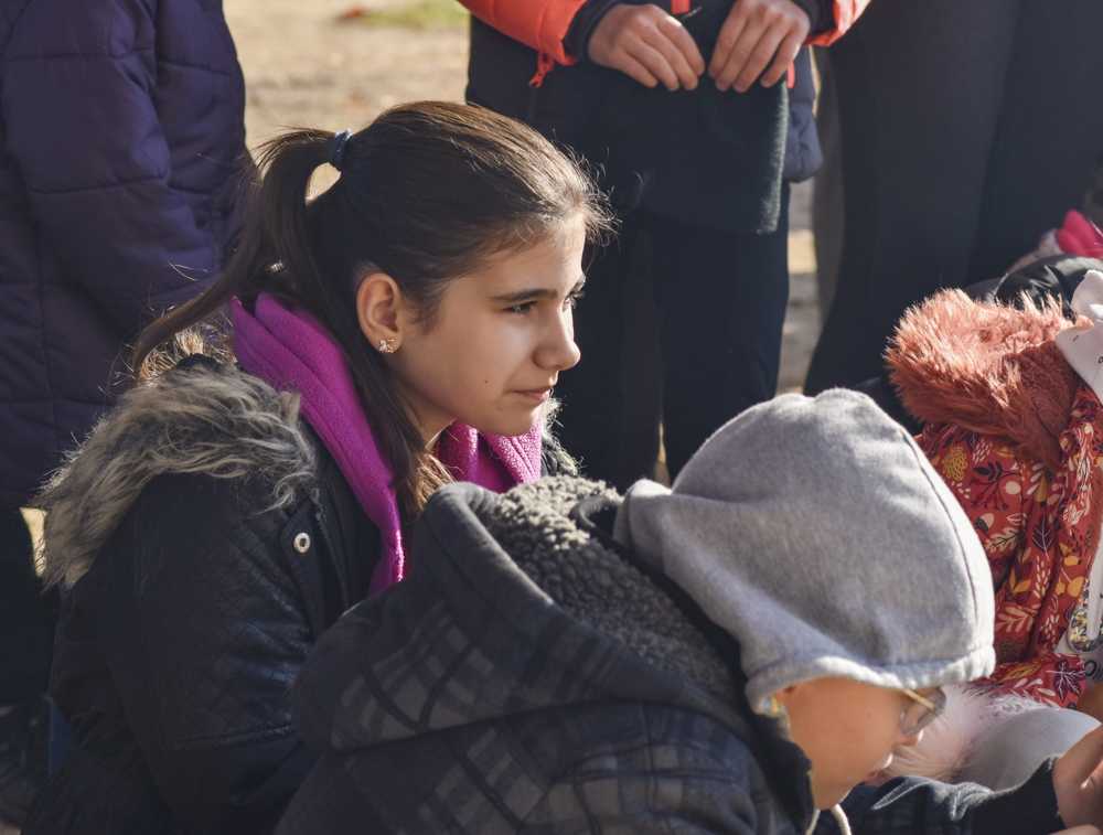 2024-darvadozas-kicsi-068