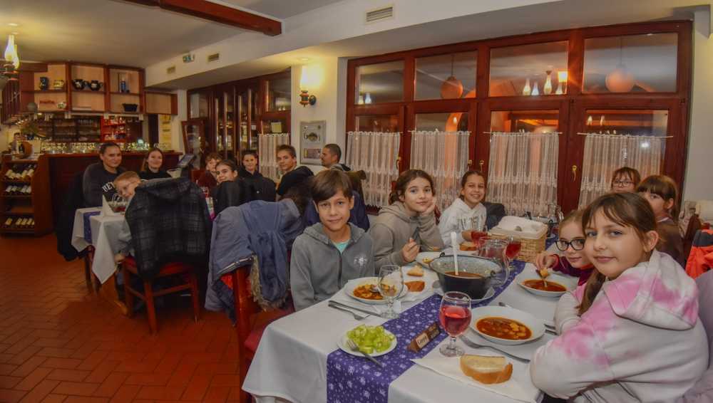 2024-darvadozas-kicsi-101