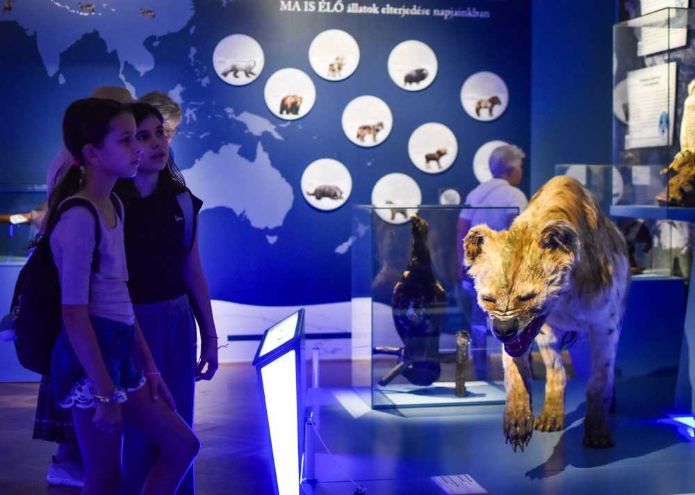 2025-09-20-muzeum-retus-kicsi-09