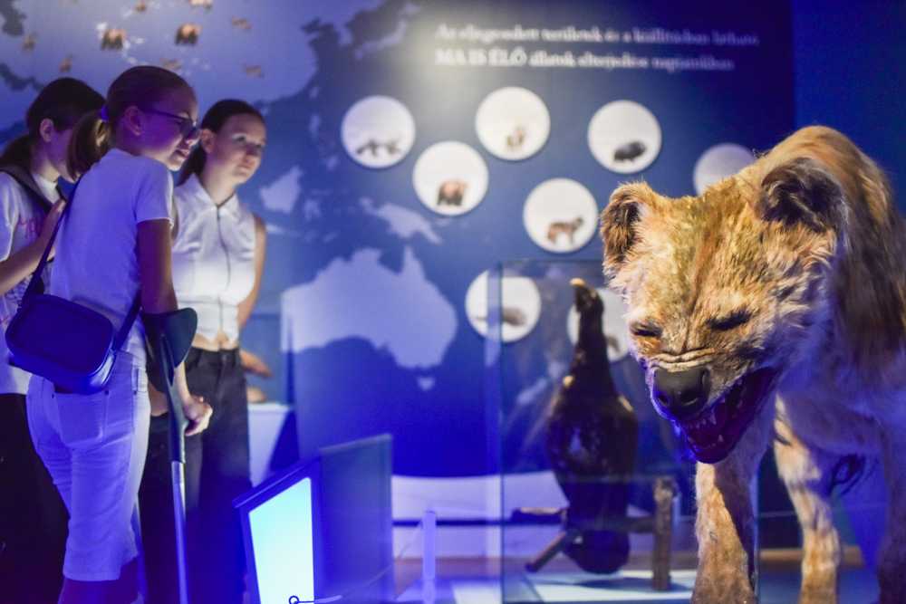 2025-09-20-muzeum-retus-kicsi-16