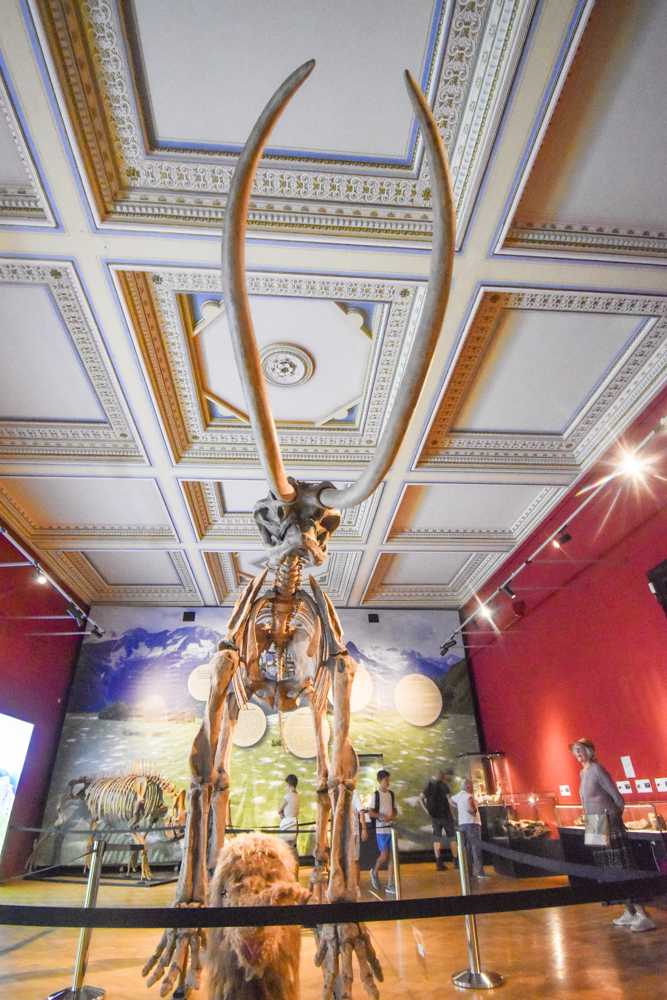 2025-09-20-muzeum-retus-kicsi-20