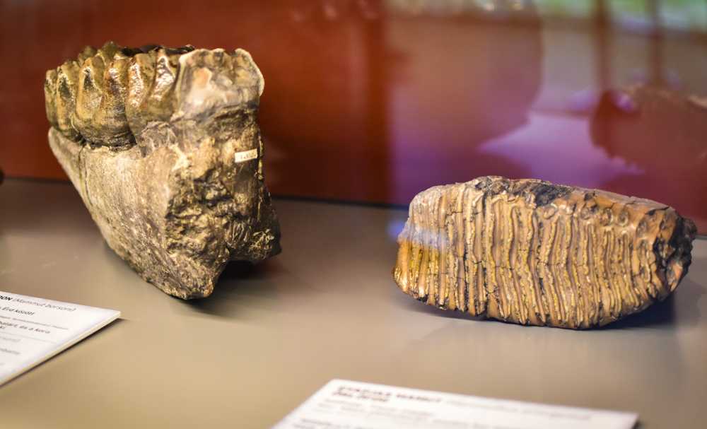 2025-09-20-muzeum-retus-kicsi-22