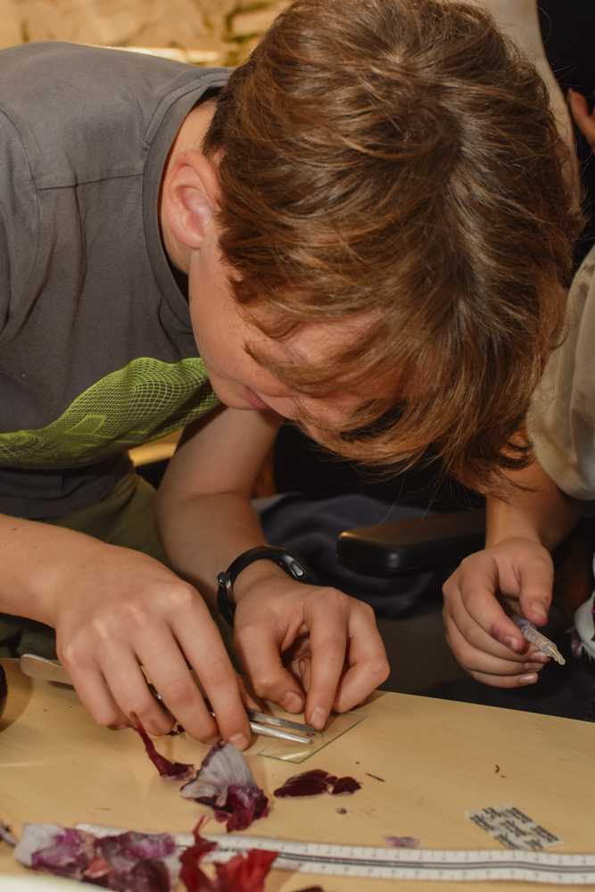 2025-10-11-projektnapretus-kicsi-33