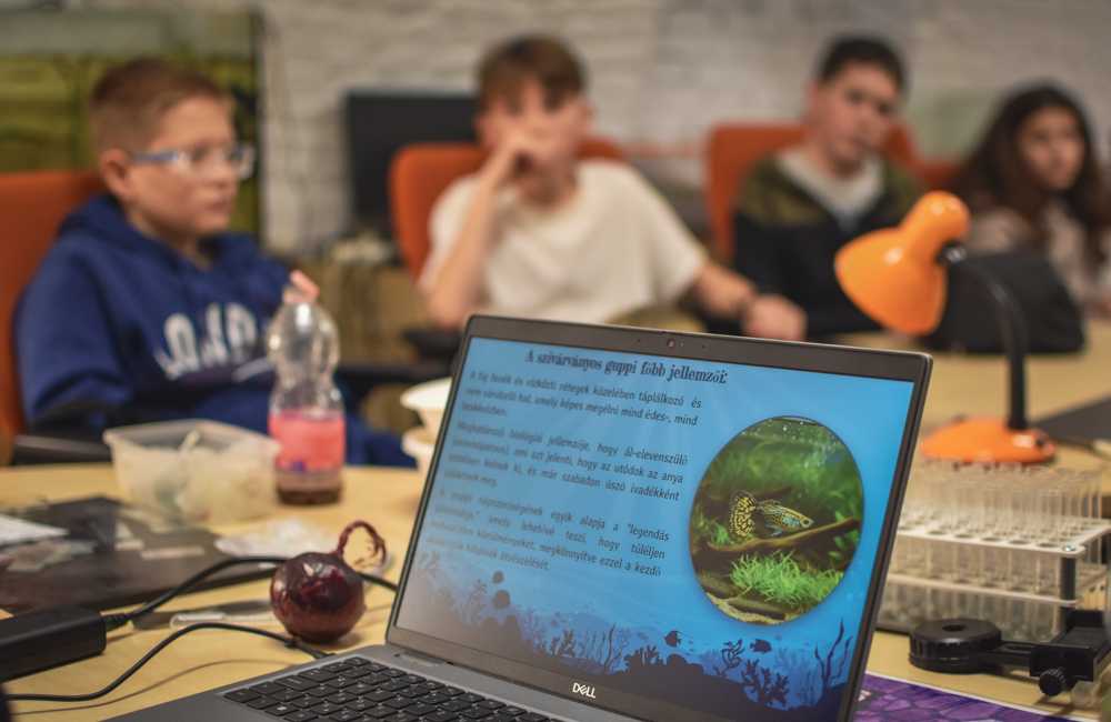 2025-10-29-projektnap-retus-kicsi-15
