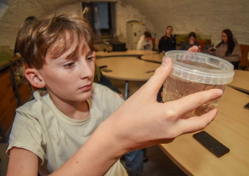 2025-10-29-projektnap-retus-kicsi-17