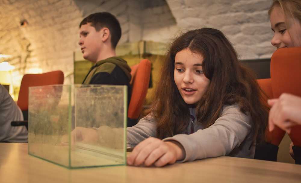 2025-10-29-projektnap-retus-kicsi-23