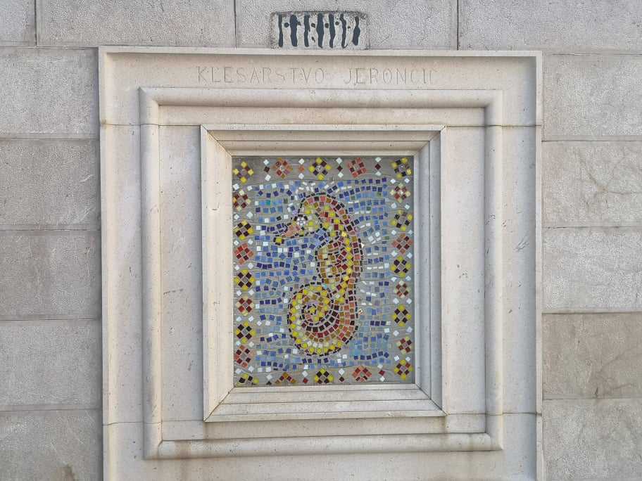 212721420-348248863354328-2077252315555402421-n-1