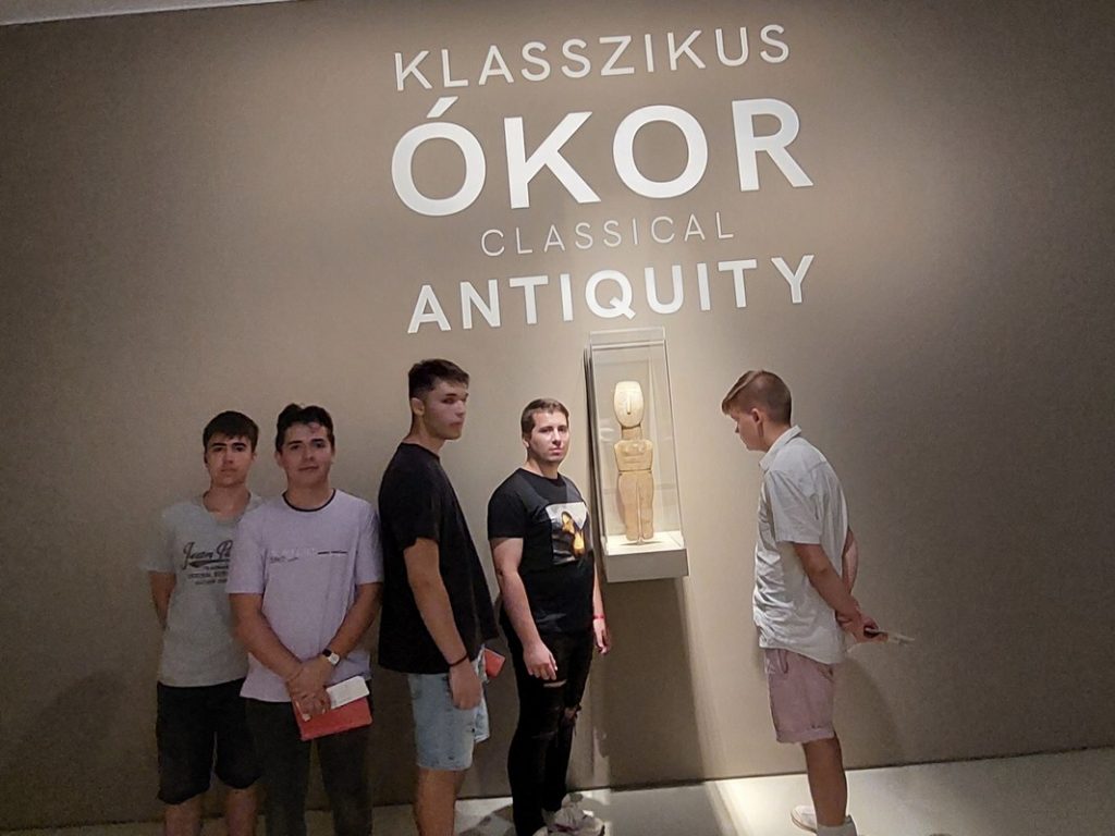 35-6