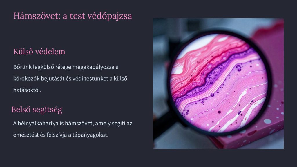 az-emberi-szovetek