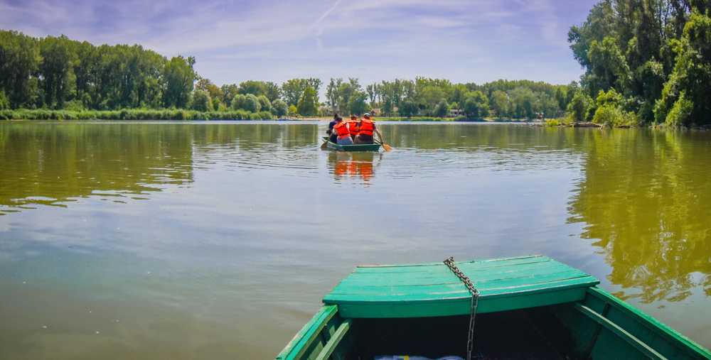 baks-4-napretus-kicsi-19