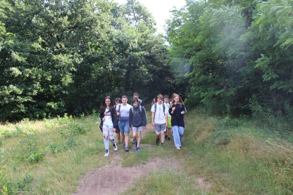 c3-12