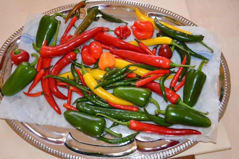 chili0004-1