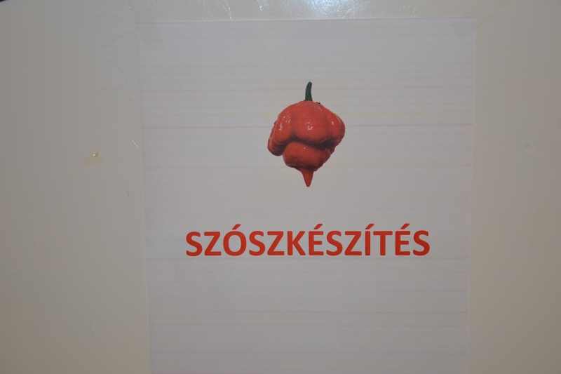 chili0005-1