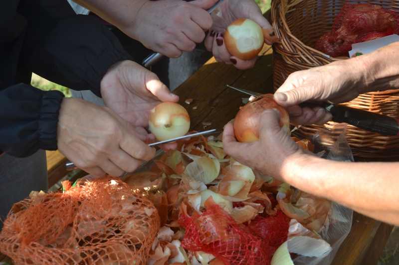 csaladi-nap0002-2-1