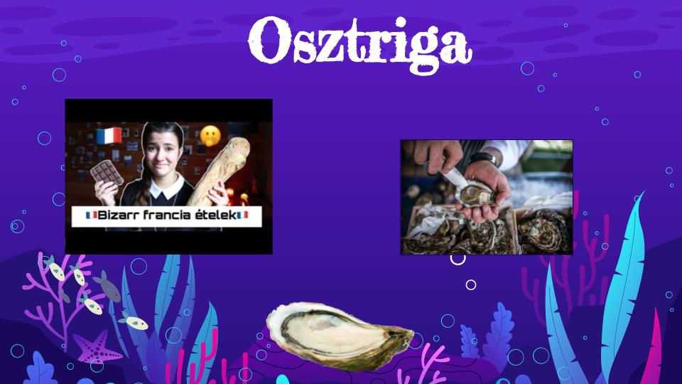 csuszomaszok-a-tiszabol-a-vilagbol-6-3