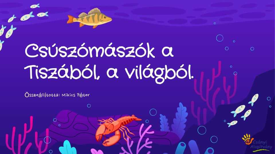 csuszomaszok-a-tiszabol-a-vilagbol-9