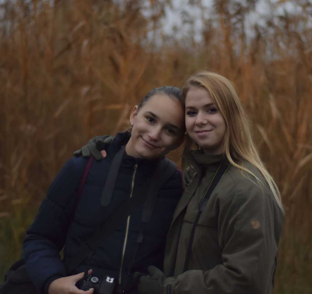 darvadozaseletkep-2019008-6