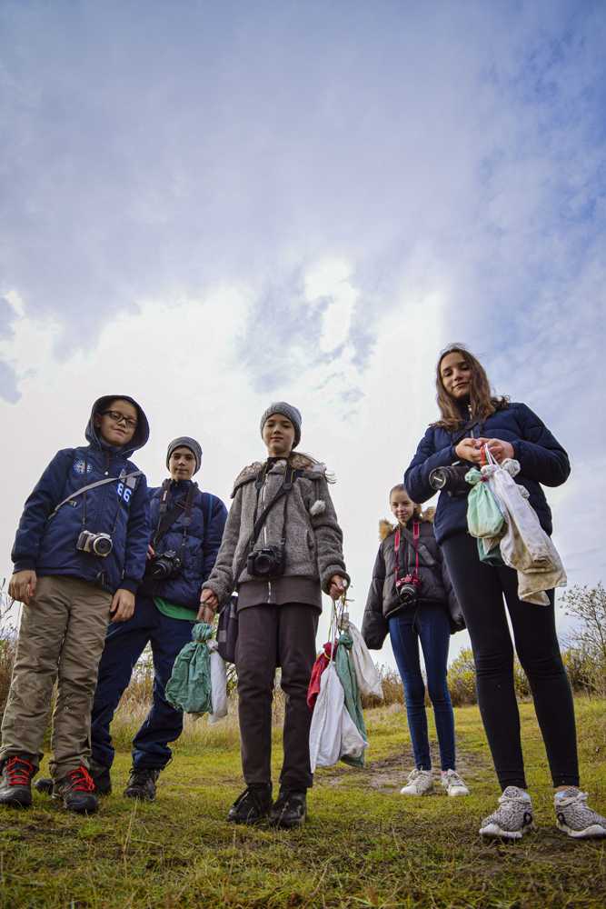 darvadozaseletkep-2019042-8