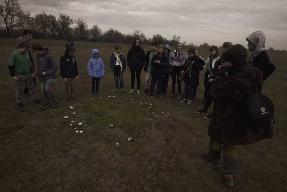 darvadozaseletkep-2019083-12