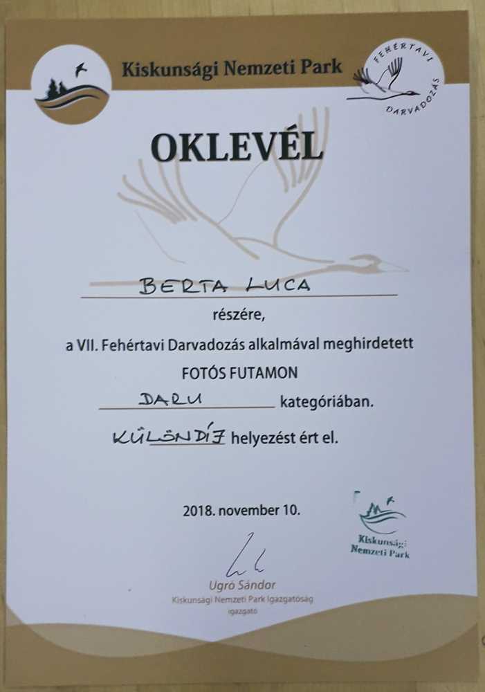 dijluca2