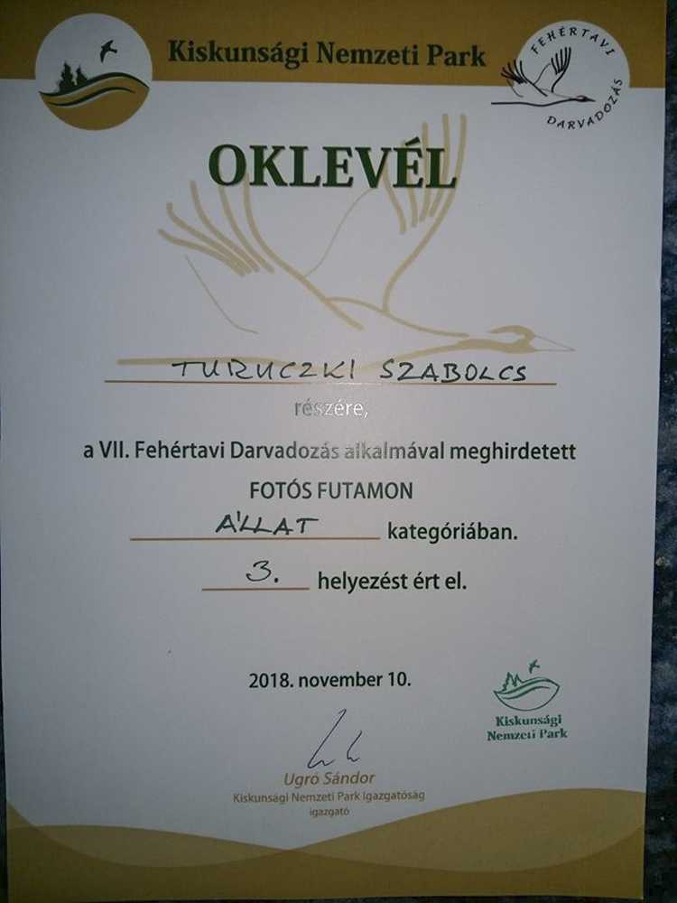 dijszabi